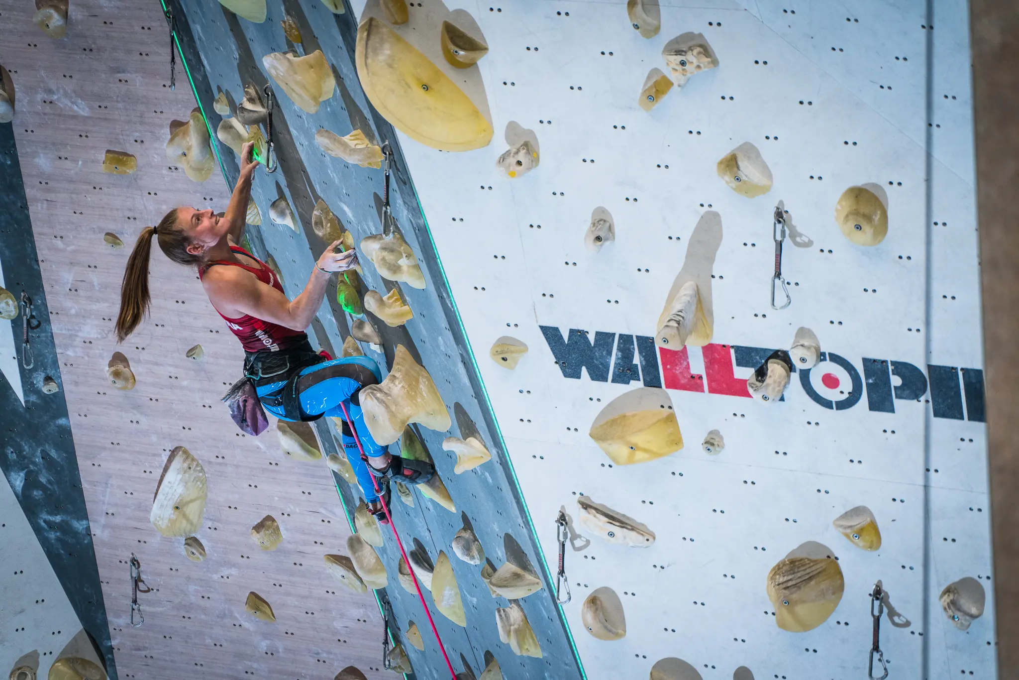 Видове катерачи в залата