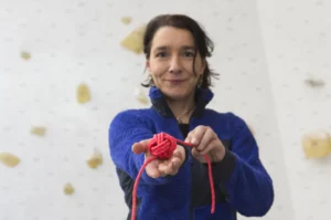 курсове walltopia